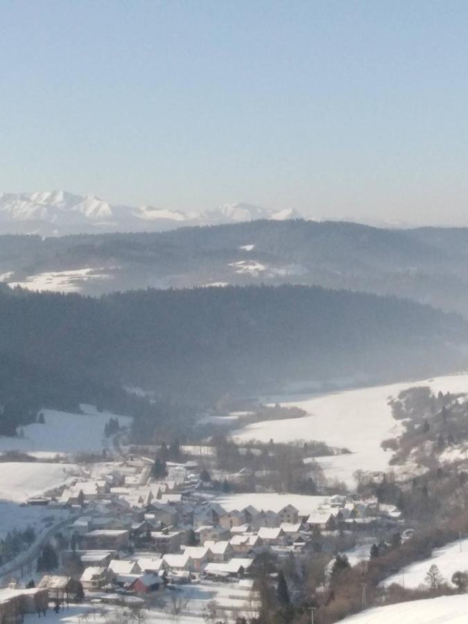 Chata Holica Pieniny Lesnica Екстериор снимка