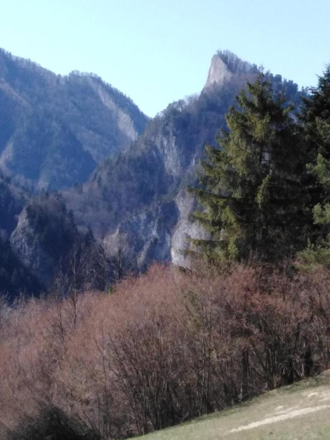 Chata Holica Pieniny Lesnica Екстериор снимка