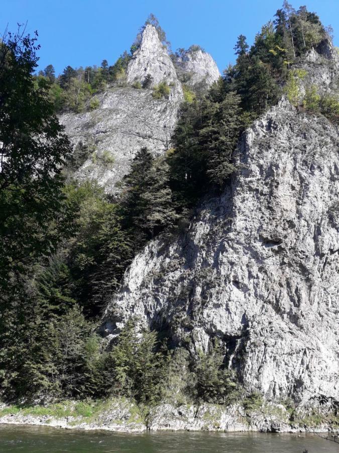 Chata Holica Pieniny Lesnica Екстериор снимка