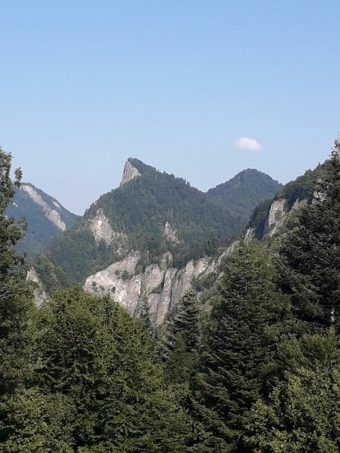 Chata Holica Pieniny Lesnica Екстериор снимка