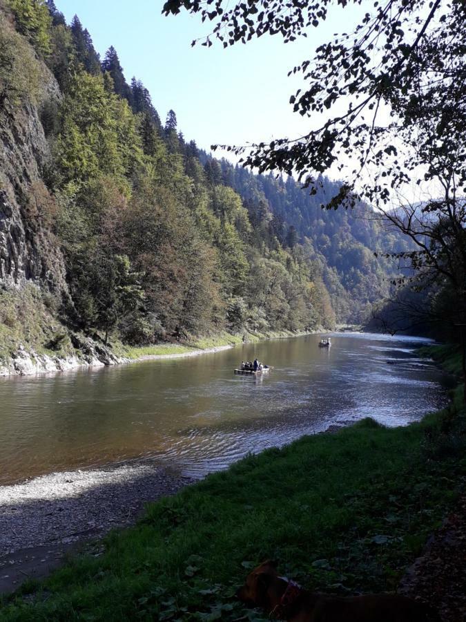 Chata Holica Pieniny Lesnica Екстериор снимка