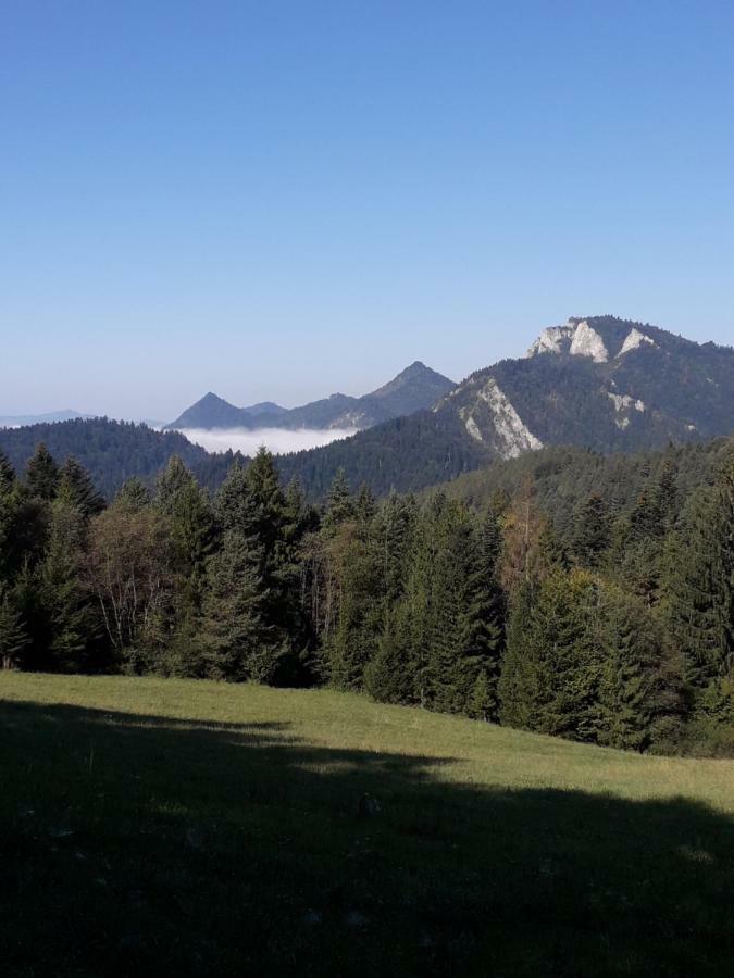 Chata Holica Pieniny Lesnica Екстериор снимка