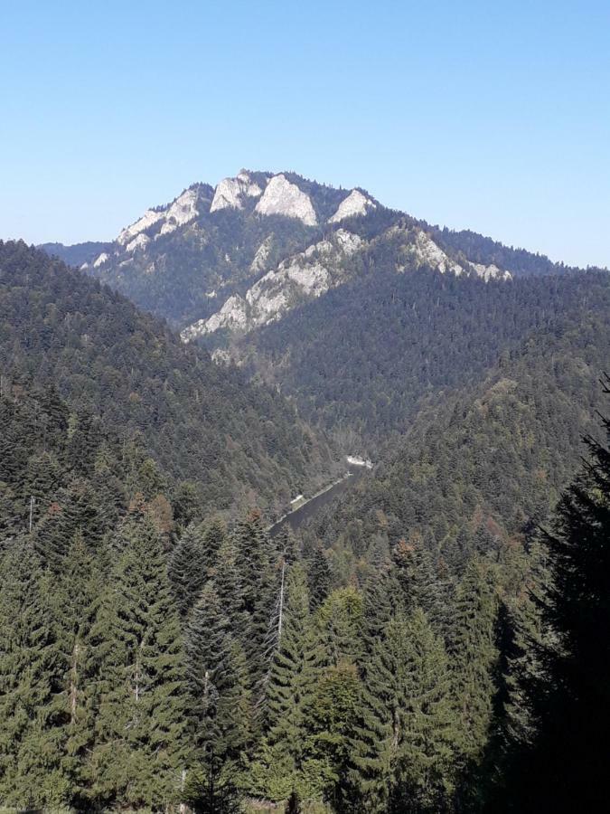 Chata Holica Pieniny Lesnica Екстериор снимка