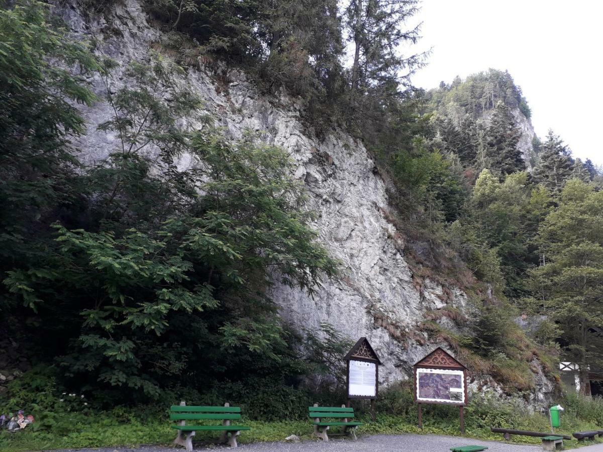 Chata Holica Pieniny Lesnica Екстериор снимка
