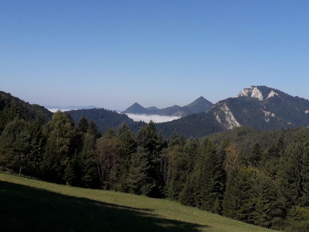 Chata Holica Pieniny Lesnica Екстериор снимка