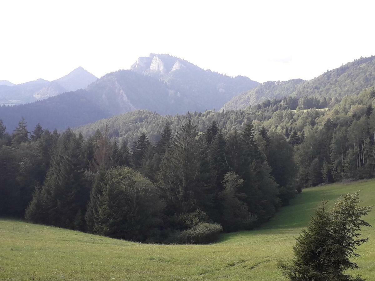 Chata Holica Pieniny Lesnica Екстериор снимка